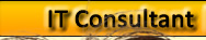 Paul Vorrasi IT Consultant